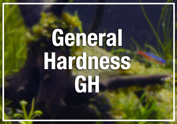 General Hardness GH in aquarium