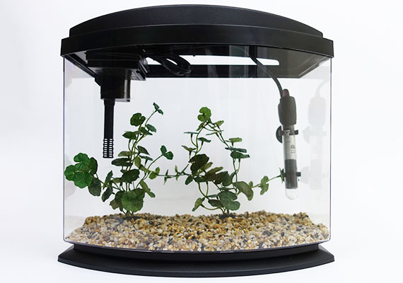 Nano aquarium outlet heater