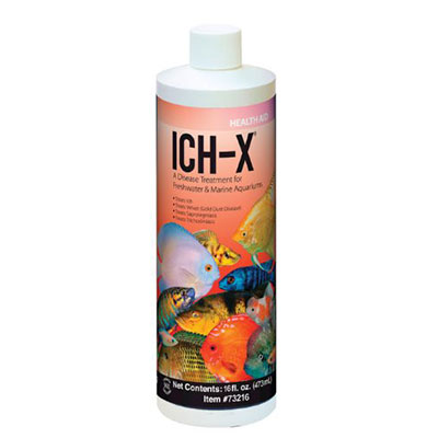 Ich-X the best medication for treating freshwater Ich