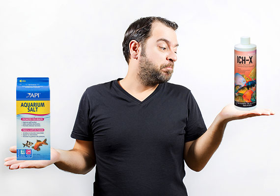 Man comparing two different Ich medications in his hands