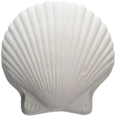 Wonder shell used for raising GH in aquarium