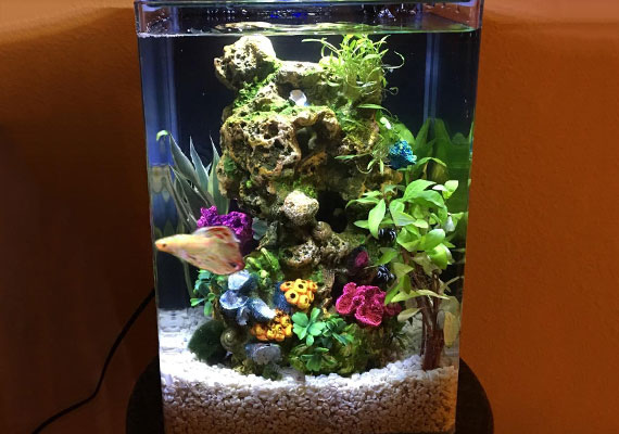 extra tall aquarium decorations