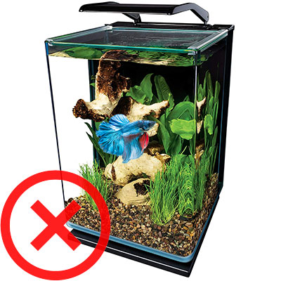 Aquarium Tank, Glass, 2-1/2 Gal