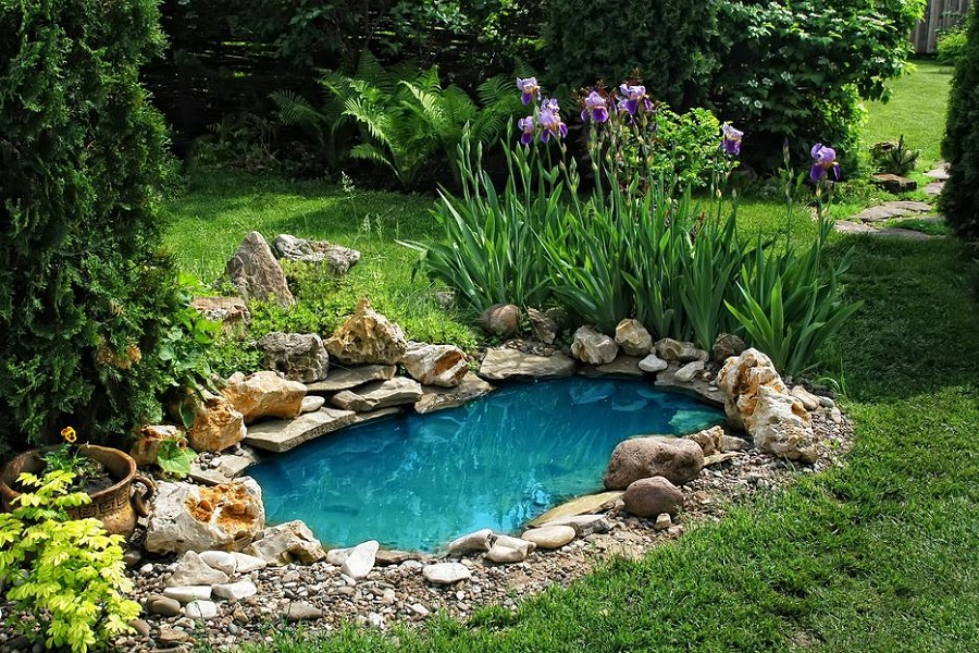 What are the best fish pond liners on the market
