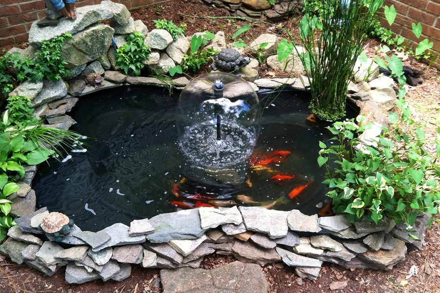 Using Nets To Keep Fall Leaves Out of Your Garden or Koi Pond