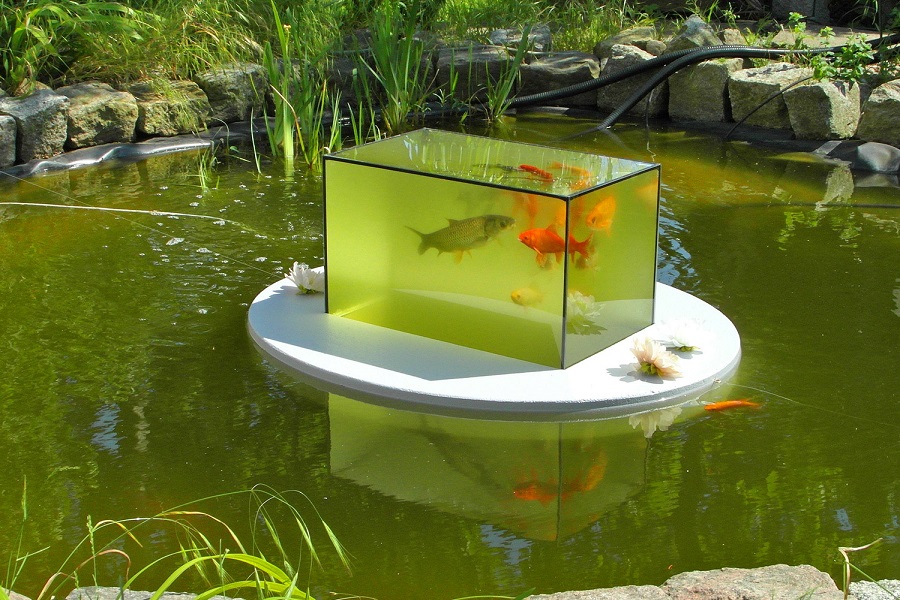 How To Make A Diy Flying Or Floating Aquarium