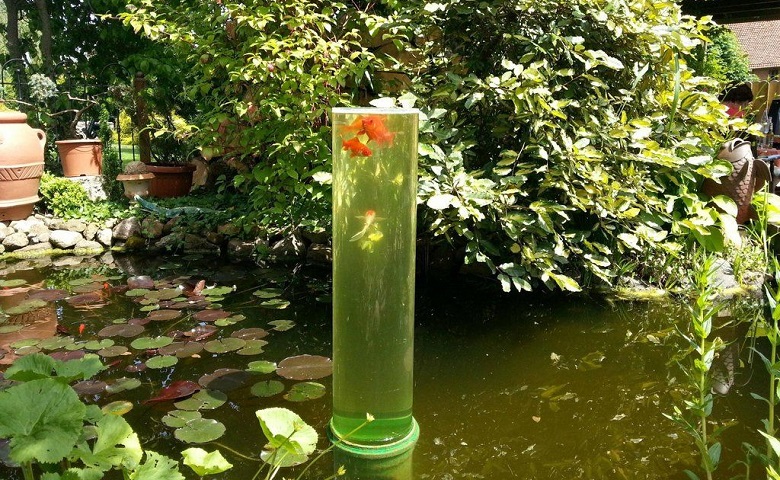 tower for observation goldfishes in pond