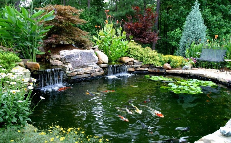 waterfalls in pond with koi fish