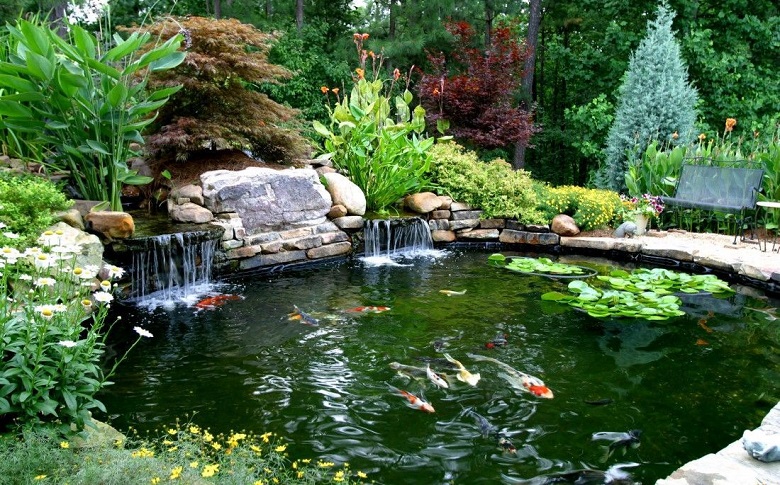 Diy Koi Fish Pond What Do I Need To Build A Backyard Pond