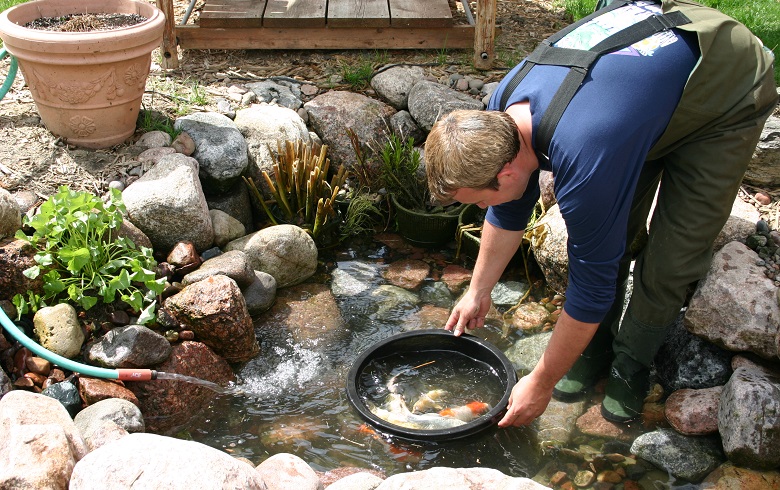 man removing fishes from pond with plastic bucket