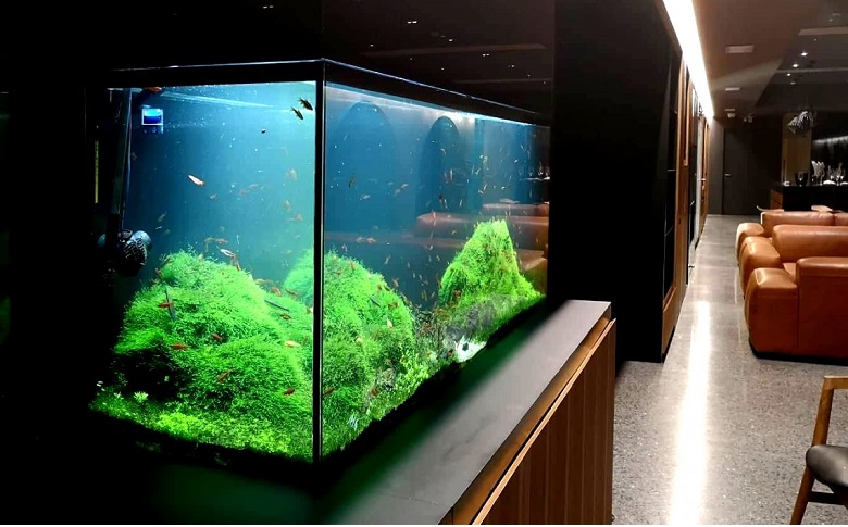 restaurant with large aquarium