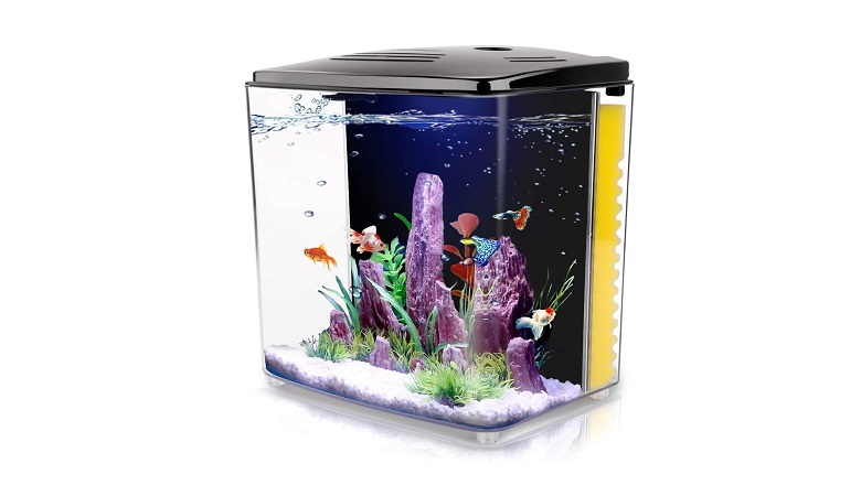 FREESEA Betta Aquarium Fish Tank