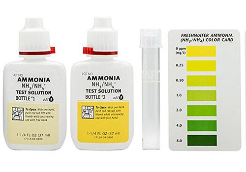 API testlösning provrör och färgkort från ammoniak test kit