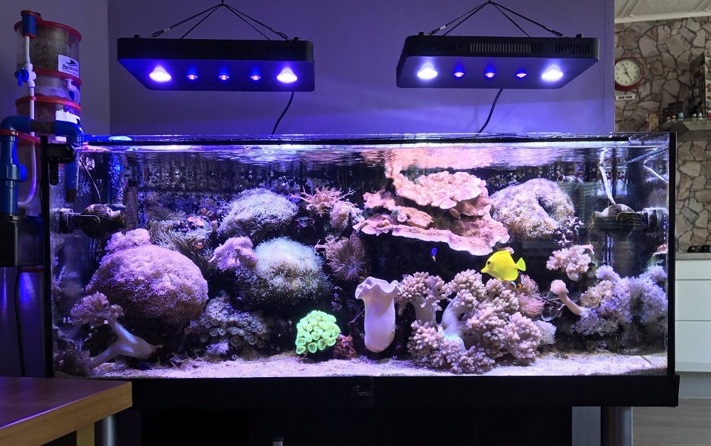 Best aquarium outlet lights