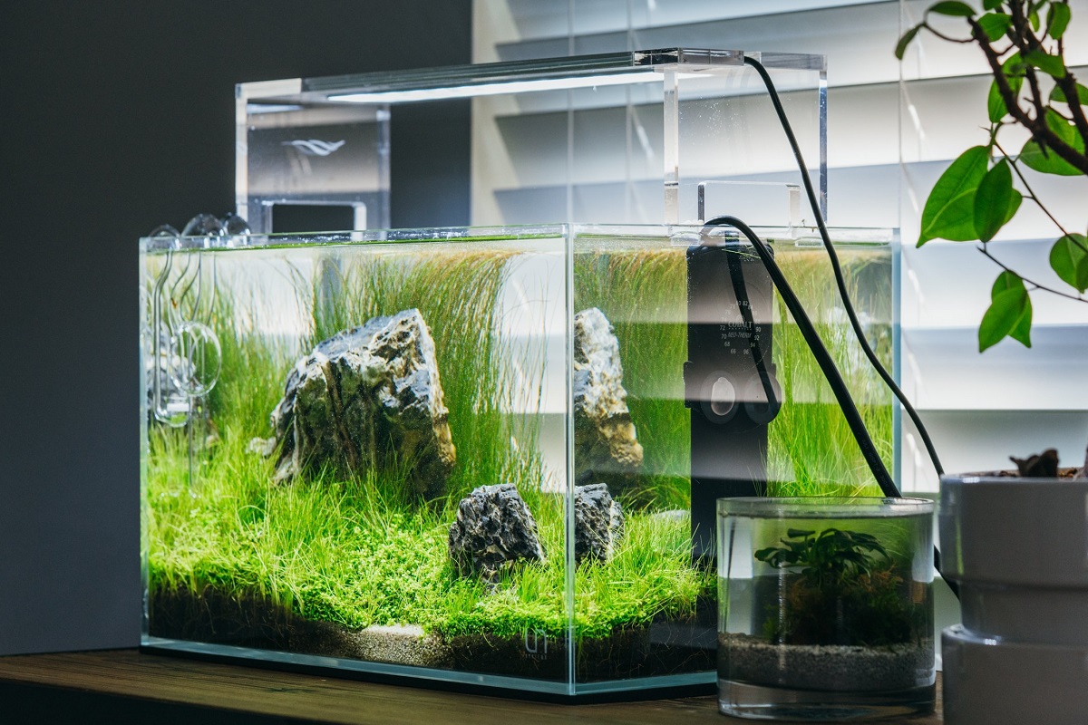 Nano aquarium tanks reviews
