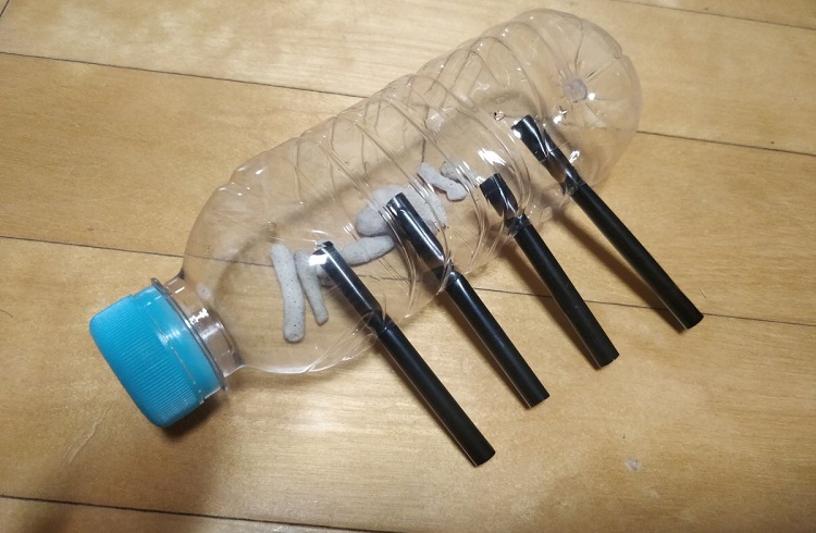 making diy bottle trap