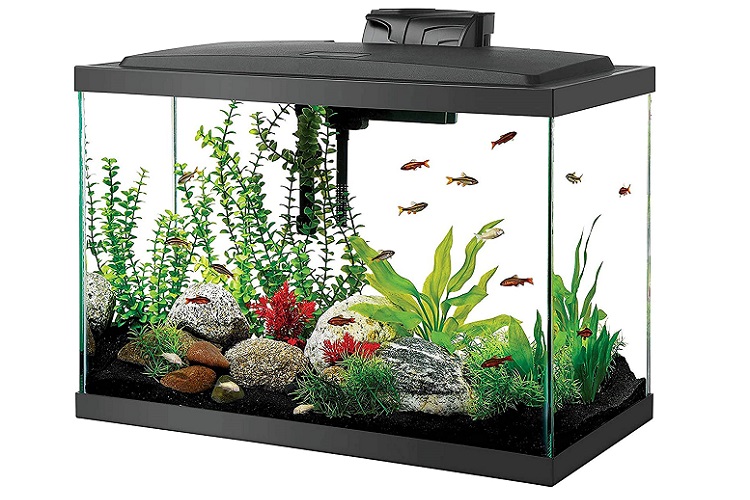 Aqueon Aquarium Starter Kit with LED Lighting Review