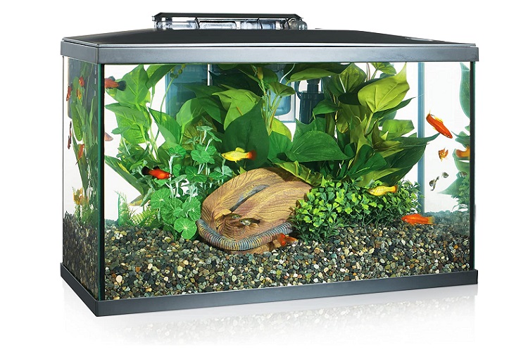 Marina LED Aquarium Kit 10 Gallon Review
