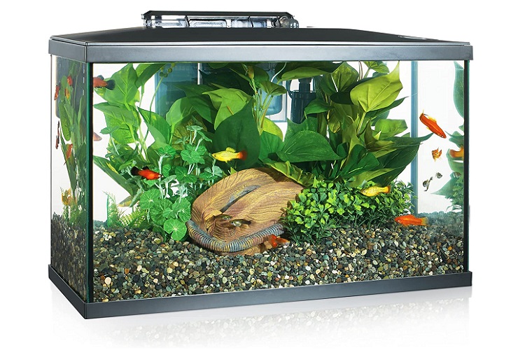 ISWEES Betta Fish Tank Complete Aquarium Kit, All Nepal