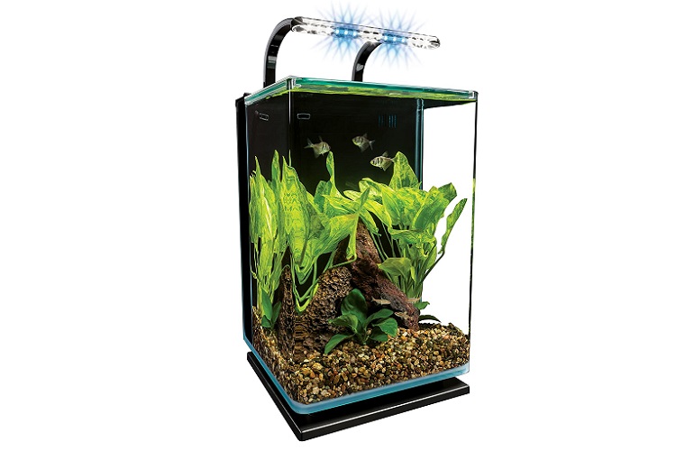 Marineland Contour Glass Aquarium Kit with Rail Light Review