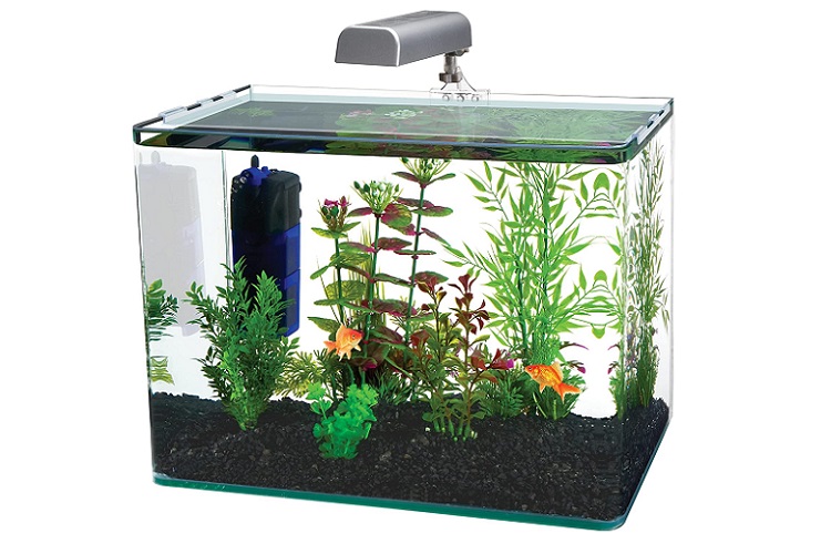 Penn Plax Water World Radius Desktop Nano Aquarium Kit