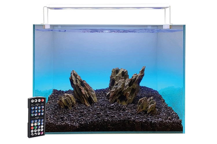 Serene 13 Gallon Aquarium Starter Kit Review