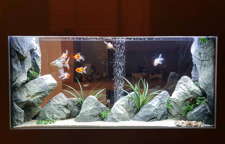 average goldfish tank size