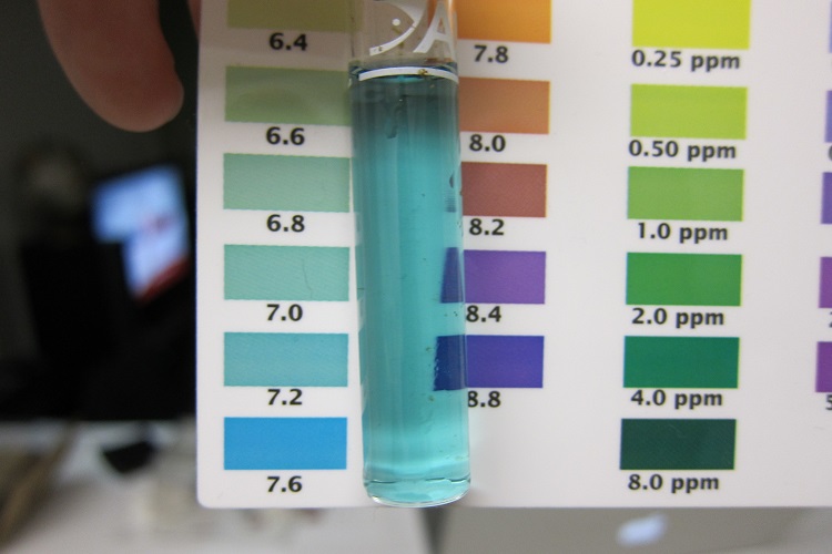 pH is 8.4. how much peat moss to add?