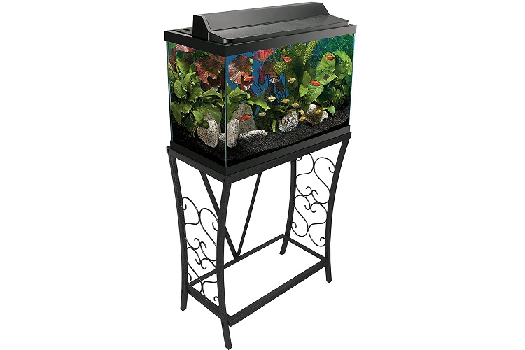 Best Fish Tank Stands