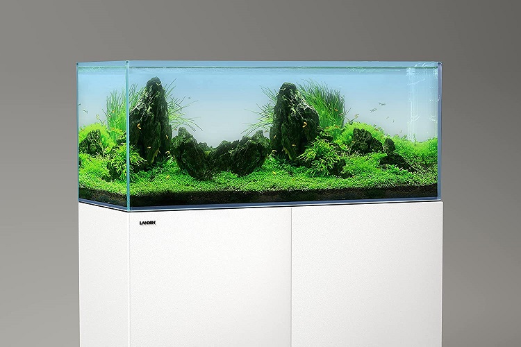 Best Fish Tank Stands