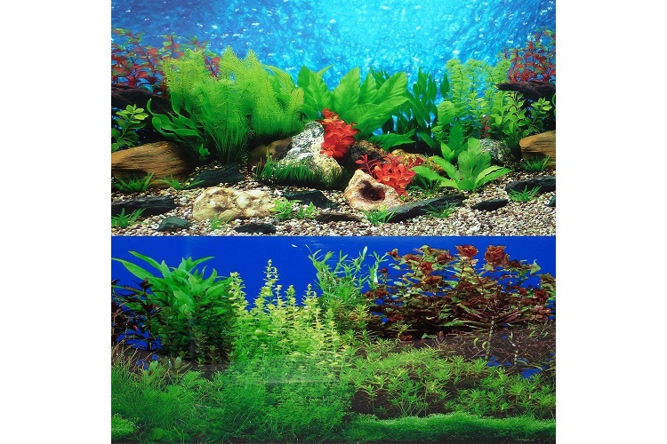 Happygfish 9078 17.7 x 48 Double Sided Fish Tank Aquarium Background Cobblestone/Green Landscape 