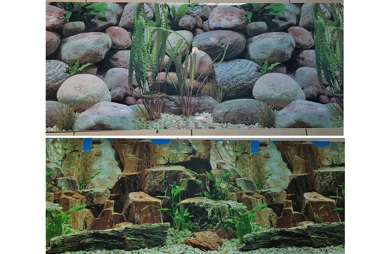 New Aquarium Background Decoration Review