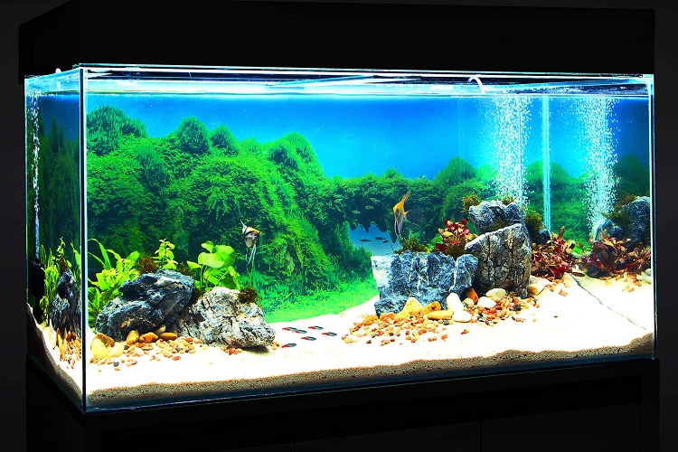 LOVIVER 3D Digital Aquarium Background Poster Fish Tank Backdrop PVC Adhesive Underwater Coral Reef Decor Paper Cling Decals Sticker 