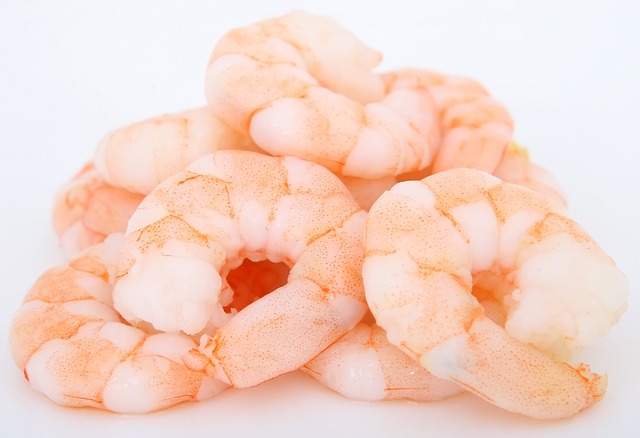 prawns 1239307 640