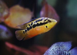 Gallery image with a fresh perspective