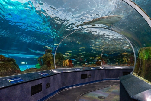 Tips for Building an Underwater Tunnel