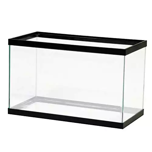 Aqueon Standard Glass 10 Gallon Rectangular Tank for Aquariums & Terrariums