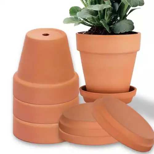 6 Inch Clay Pot for Plant with Saucer - 4 Pack Large Terra Cotta Plant Pot with Drainage Hole, Flower Pot with Tray, Terracotta Pot for Indoor Outdoor Plant