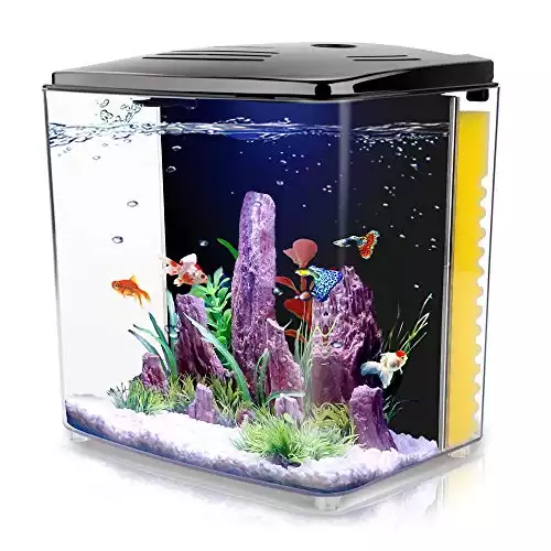 FREESEA 1.2 Gallon Betta Aquarium Starter Kits Square Fish Tank with LED Light and Filter Pump