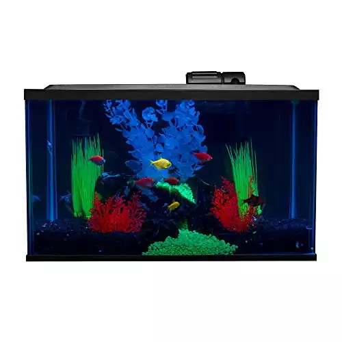 GloFish Aquarium Fish Tank Kits, Includes Fish Tank Decorations and LED Lighting, Tetra Filter and Water Conditioner, 10 Gallon