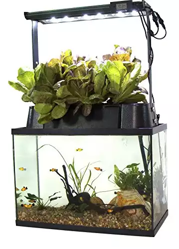 ECO-Cycle Aquaponics Indoor Garden System with LED Lighting
