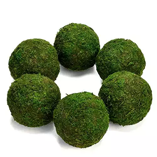 Farmoo Moss Balls Preserved All Natural, 3.5"-Set of 6 (Natural Green)