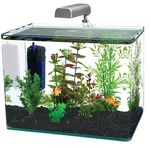 PENN-PLAX Water-World Radius Desktop Nano Aquarium Kit – Includes LED Light, Internal Filter, and Mat – Perfect for Shrimp and Small Fish – 10 Gallon Tank