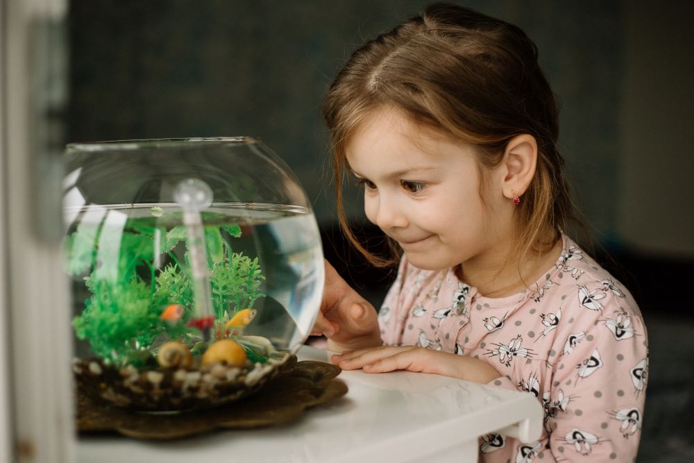the girl joyfully examines a round aquarium with f 2023 11 27 05 30 15 utc