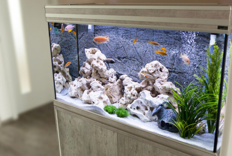 Curated visual reference: How To Set Up A Nano Reef Tank 7 Essential Photo Inspiration