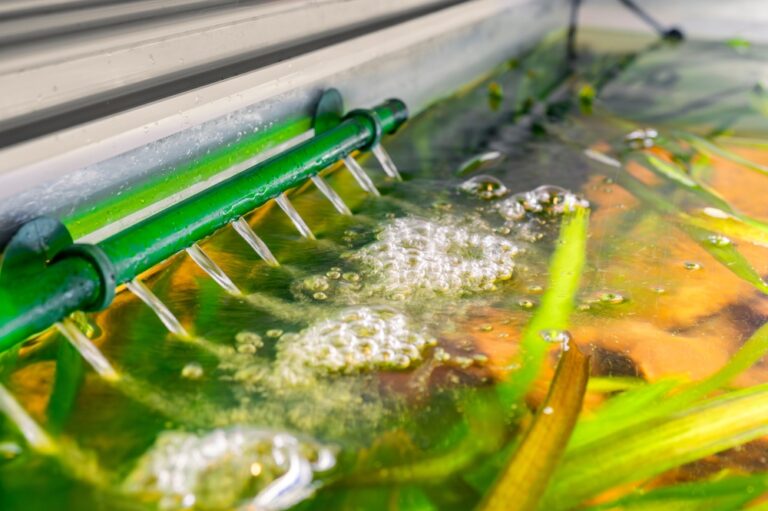 Photo inspiration: Picture Idea: How To Set Up A Nano Reef Tank 7 Essential
