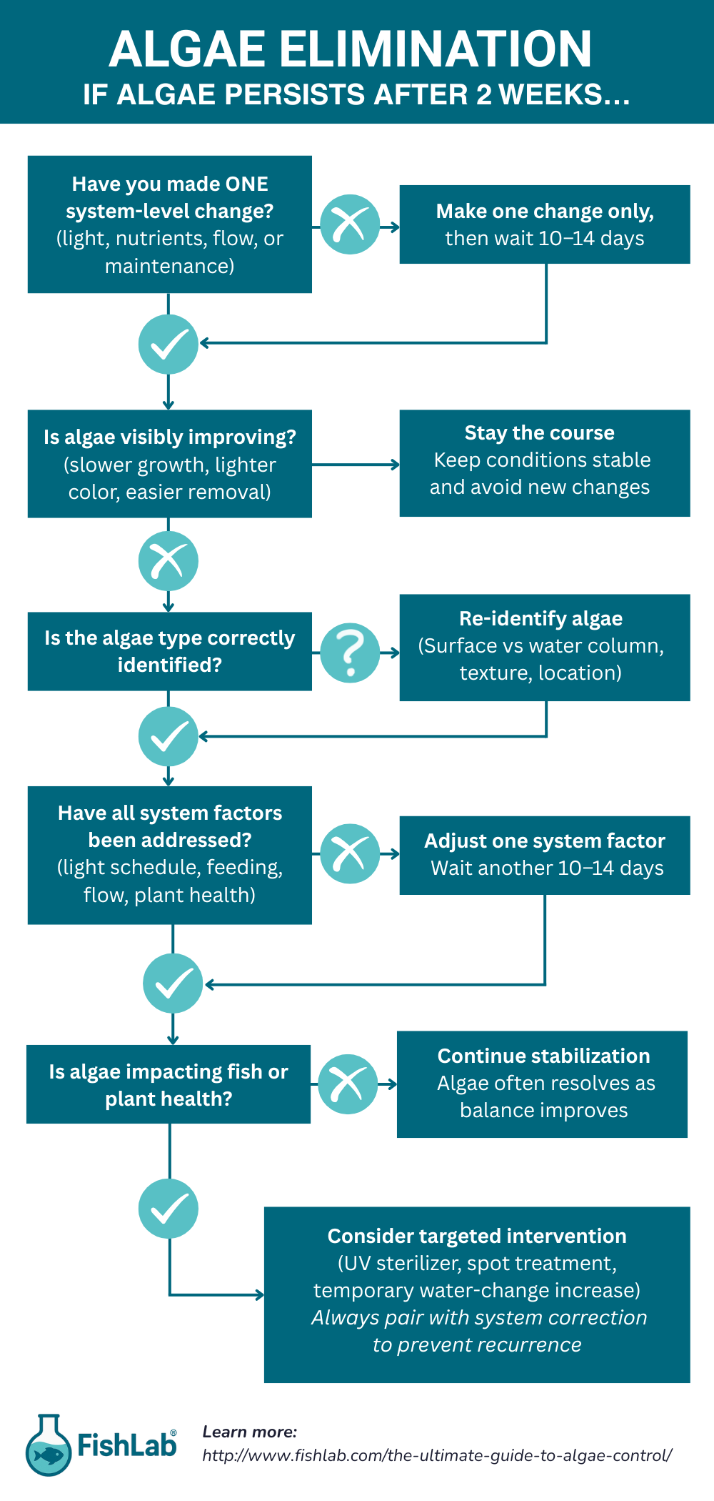 Algae elimination infographic.