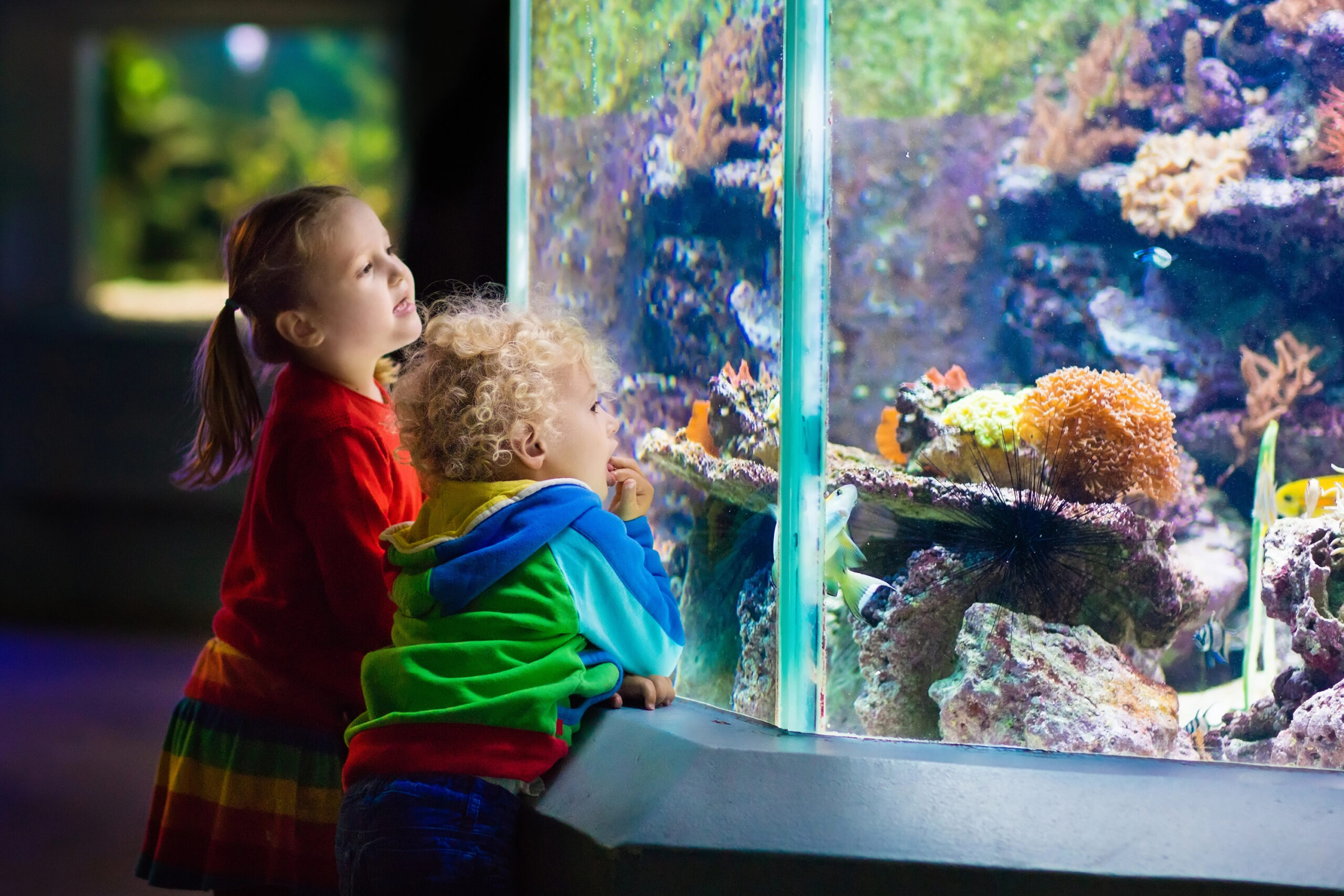 Kids watching fish in tropical aquarium