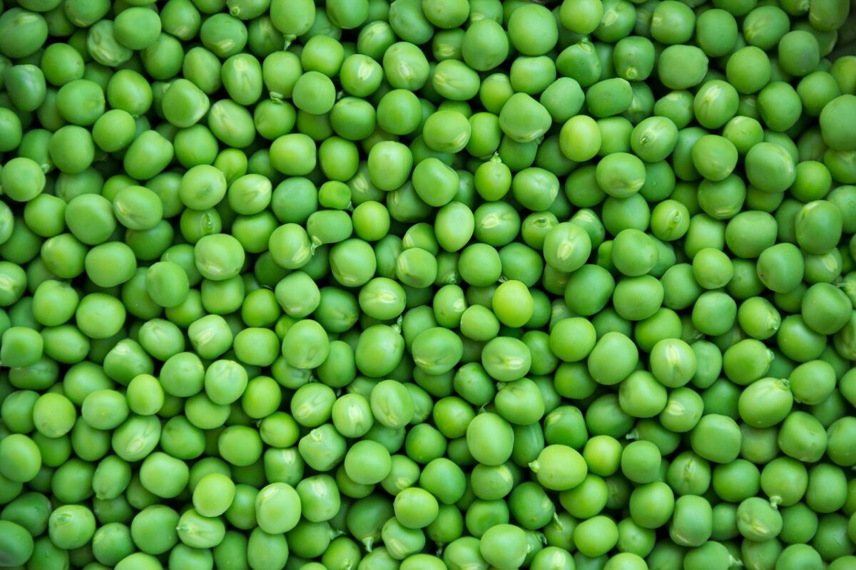 pea, cool backgrounds, peas, windows wallpaper, free background, wallpaper hd, vegetables, beautiful wallpaper, mac wallpaper, green, food, hd wallpaper, healthy, vegetarian, vegetable, nature, raw, organic, full hd wallpaper, desktop backgrounds, cooking, laptop wallpaper, fresh, 4k wallpaper 1920x1080, natural, seed, group, gourmet, sweet, vitamin, wallpaper 4k, fresh picked, vegan, 4k wallpaper, diet, tasty, freshness, background, green background, green food, green cooking, green vegetables, free wallpaper, green healthy, green group, green diet