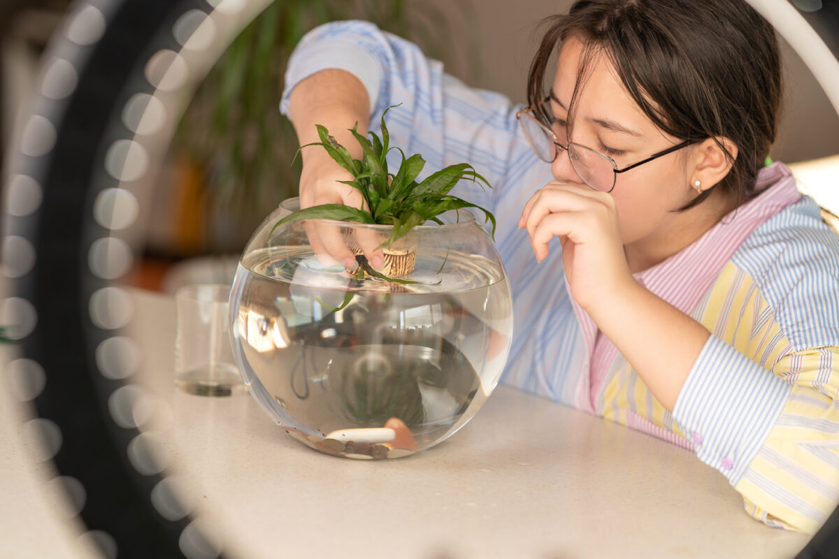 the girl is engaged in the design of the aquarium, lays stones and algae